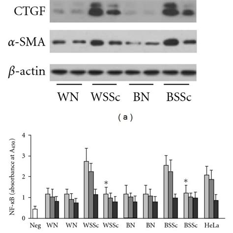 Ppar Expression In Lung Fibroblasts A Western Blot For Ppar On