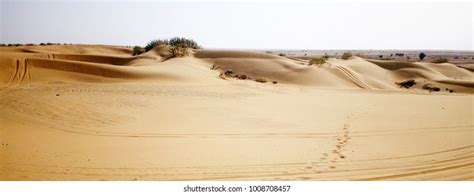 Desert Safari Jaisalmer Stock Photo 1008708457 | Shutterstock