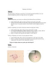 Mbio Lab Exercise Docx Preparing A Wet Mount Objective The Main