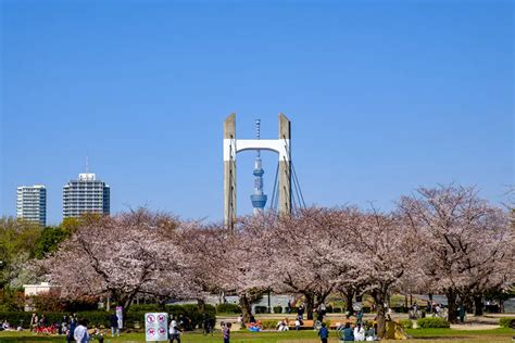 Kiba Park Photo Guide