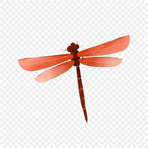 Flying Insects Clipart Transparent Background, Dragonfly Beneficial ...