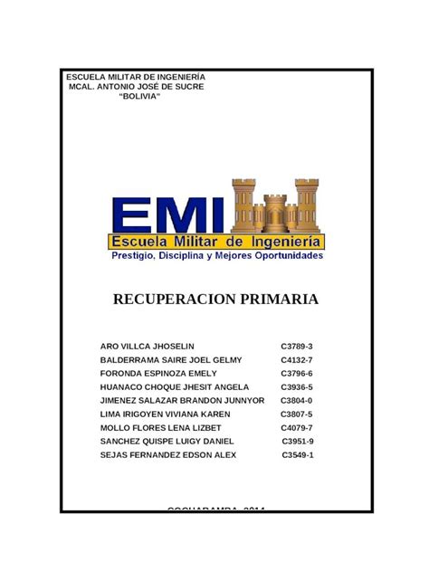 DOCX Recuperacion Primaria Est EMI DOKUMEN TIPS