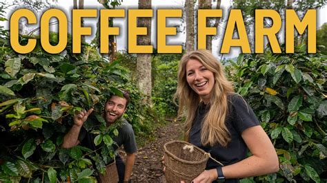 The Ultimate Salento Coffee Tour We Visited A Coffee Plantation In