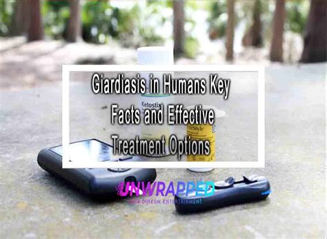 Giardiasis In Humans Key Facts And Effective Treatment Options