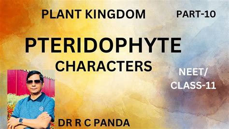 PTERIDOPHYTES CHARACTERS PLANT KINGDOM PART 10 NEET CLASS 11