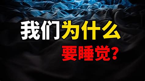 遇到不开心睡一觉就好了，这句话竟然是真的！我们每天都要睡的觉到底还有多少好处 Youtube