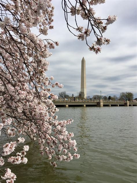 map of tidal basin washington dc 11