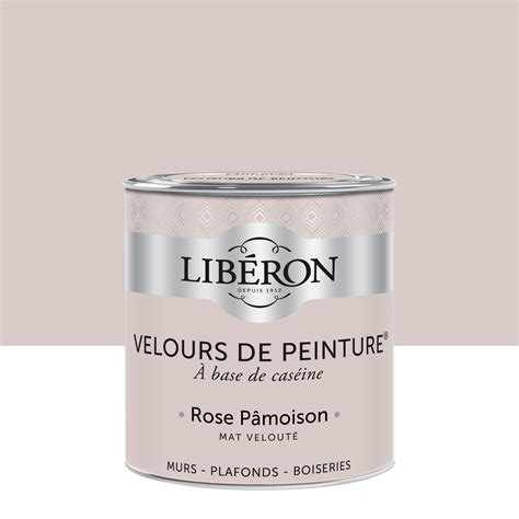 Peinture Mur Et Plafond Rose P Moison Velours Lib Ron Velours De