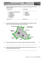 Schulaufgaben Natur Und Technik Klasse Gymnasium Catlux