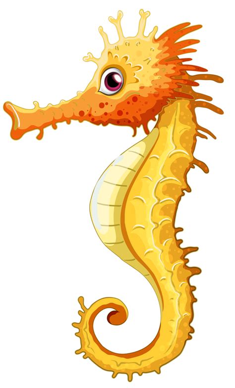 Seahorse Clip art - seahorse png download - 619*1024 - Free Transparent ...