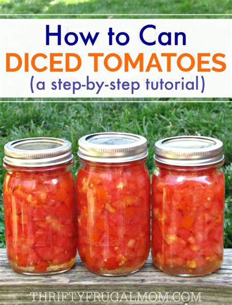 Diced Tomatoes Recipe