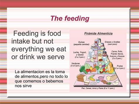 Proyecto Alimentacion Y Digestion PPT Descarga Gratuita