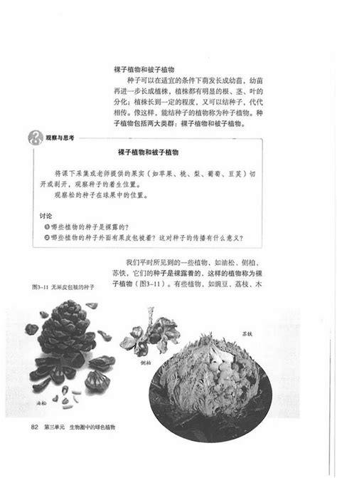 《第二节 种子植物》2012年审定人教版七年级生物上册中学课本网