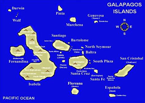 Galapagos climate: average weather, temperature, rain - Climates to Travel