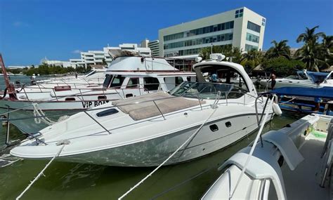 35 Sea Ray Motor Yacht Charter In Cancún Getmyboat