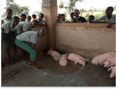 Agricultural Services Department Lagos State Ministry Of Agriculture