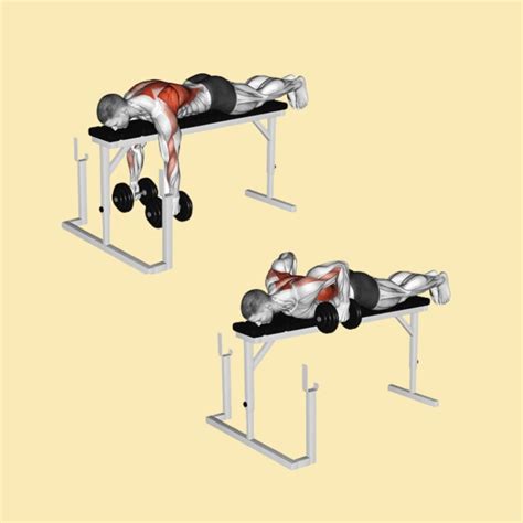 9 Best Dumbbell Lat Exercises You Can Do At Your Own Space