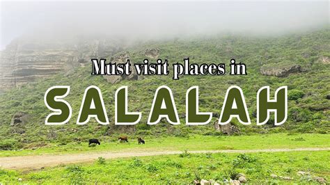 Must Visit Places In Salalah Kareef Season Top Places To Visit In