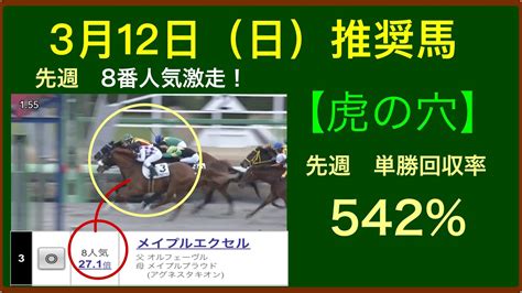 競馬の虎【3月12日（日） 競馬予想】【平場予想】【推奨馬】【勝負レース】【穴馬】 競馬動画まとめ