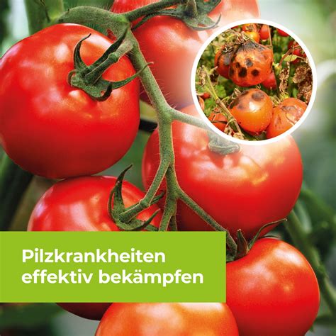 Protect Garden Curamat Az Rosen Pilzfrei Ml Kaufen Bei Obi