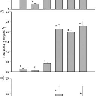 Shoot A And Root B Dry Mass And Root Shoot Ratio C Of B Juncea