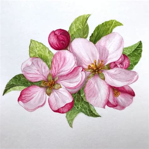 Pin By Janie Hayes On Watercolor Floral Art Paintings Watercolor