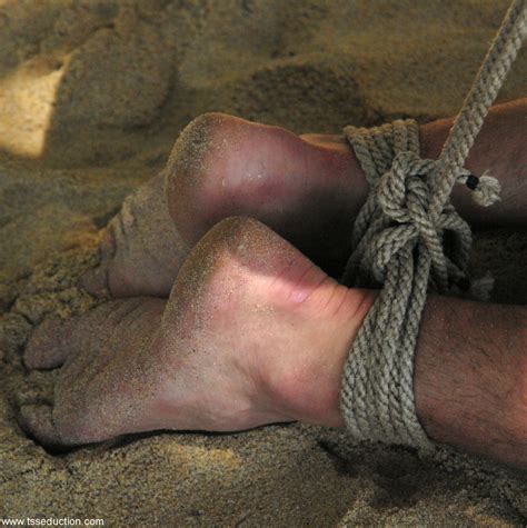 TS Seduction Starring Felix Stulback Hilda Brasil Hot XXX CoedCherry