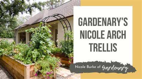 Gardenary S Nicole Arch Trellis Youtube