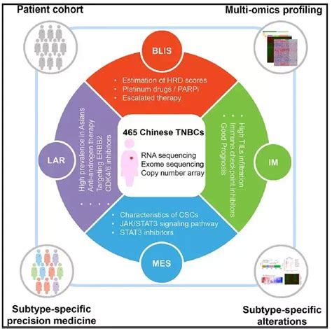 Cancer Cell 复旦大学绘制三阴性乳腺癌多组学精细图谱 知乎