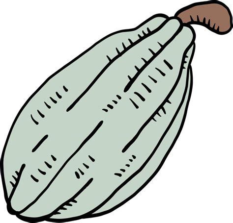 Doodle Dibujo A Mano Alzada De Fruta De Cacao 10833152 Png