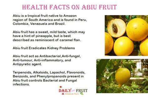 Interesting Health Facts On Abiu Fruit Dailyonefruit