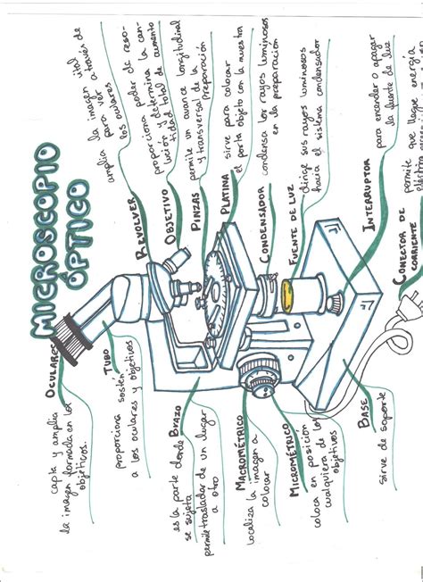 El Microscopio Mapa Mental Images Images