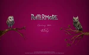 Pottermore Potter - Pottermore | Harry Potter Wiki | Fandom