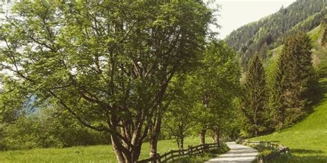 Rauris Rauris Wörth Waidachweg Nr 7 Wanderung outdooractive