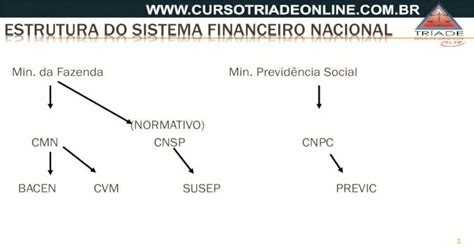 ESTRUTURA DO SISTEMA FINANCEIRO NACIONAL 2020 2 29 Estrutura Do