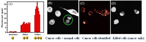 Gold Nanoparticle Clusters For Simultaneous Photo Thermal Imaging And