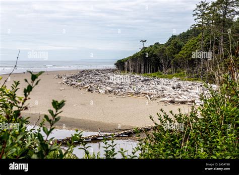 National Park Olympic Forks And Second Beach La Push Stock Photo Alamy