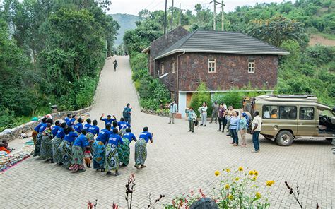 Gorilla Leisure Lodge Luxury Safari Lodge Rushaga Sector Bwindi