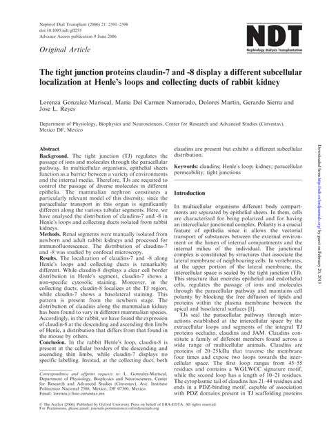 Pdf The Tight Junction Proteins Claudin 7 And 8 Display A Different