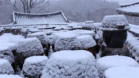 장독대위에 내리는 눈오는 소리 휴식이 되는 눈오는 풍경 눈내리는 눈소리 Asmrㅣrelaxing Snowfall