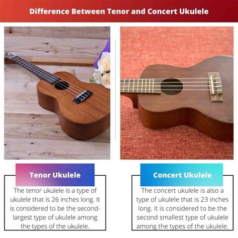 Tenor Vs Concert Ukulele Difference And Comparison