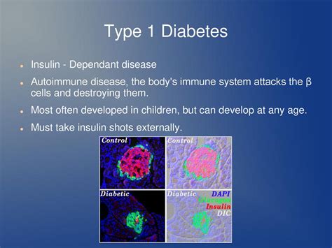 Nerves Hormones And Homeostasis Ppt Download