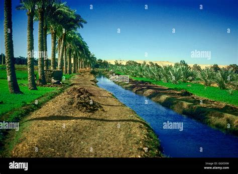 Irrigation canal. The Nile Valley canal system. Memphis, Egypt Stock ...