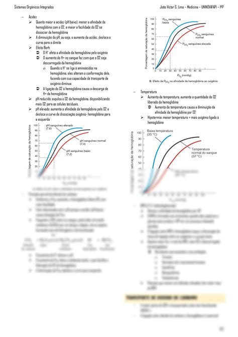 SOLUTION Resumo Sobre Intoxica O Por Mon Xido De Carbono Studypool