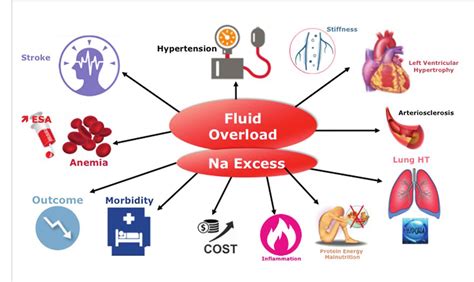 chronic hemodynamic stress chronic fluid overload