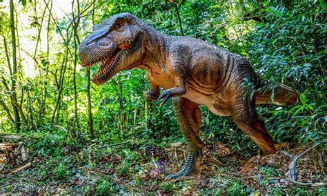 Parque Dos Dinossauros Ser A Nova Atra O Tur Stica De Balne Rio