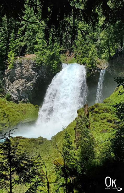 Visiting Sahalie Falls in Oregon