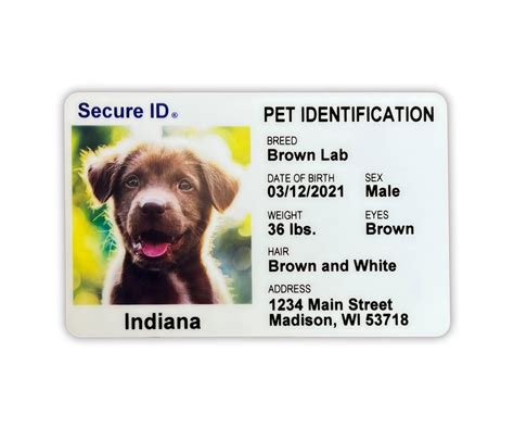 Id Card For Dog At Harold Sellers Blog