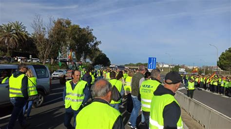 Galería El sector agrícola de Huelva domina la A 49 Teleonuba