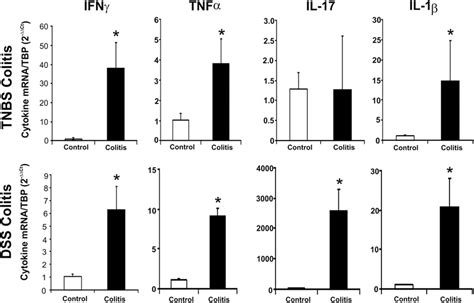 Real Time Rt Pcr Analysis Of Pro Inflammatory Cytokine Mrna Expression